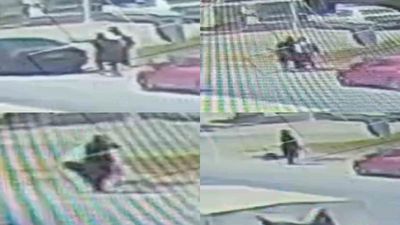 Yol kenarında kadın arkadaşını öldürüp kendini vurmuştu: Şüpheli taburcu edilip tutuklandı