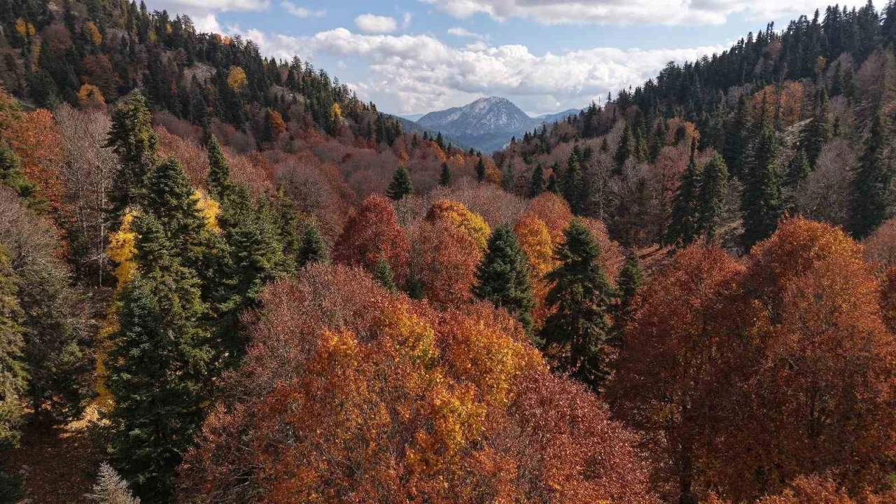 Adanada sonbahar güzelliği: Adeta doğa sanata dönüştü
