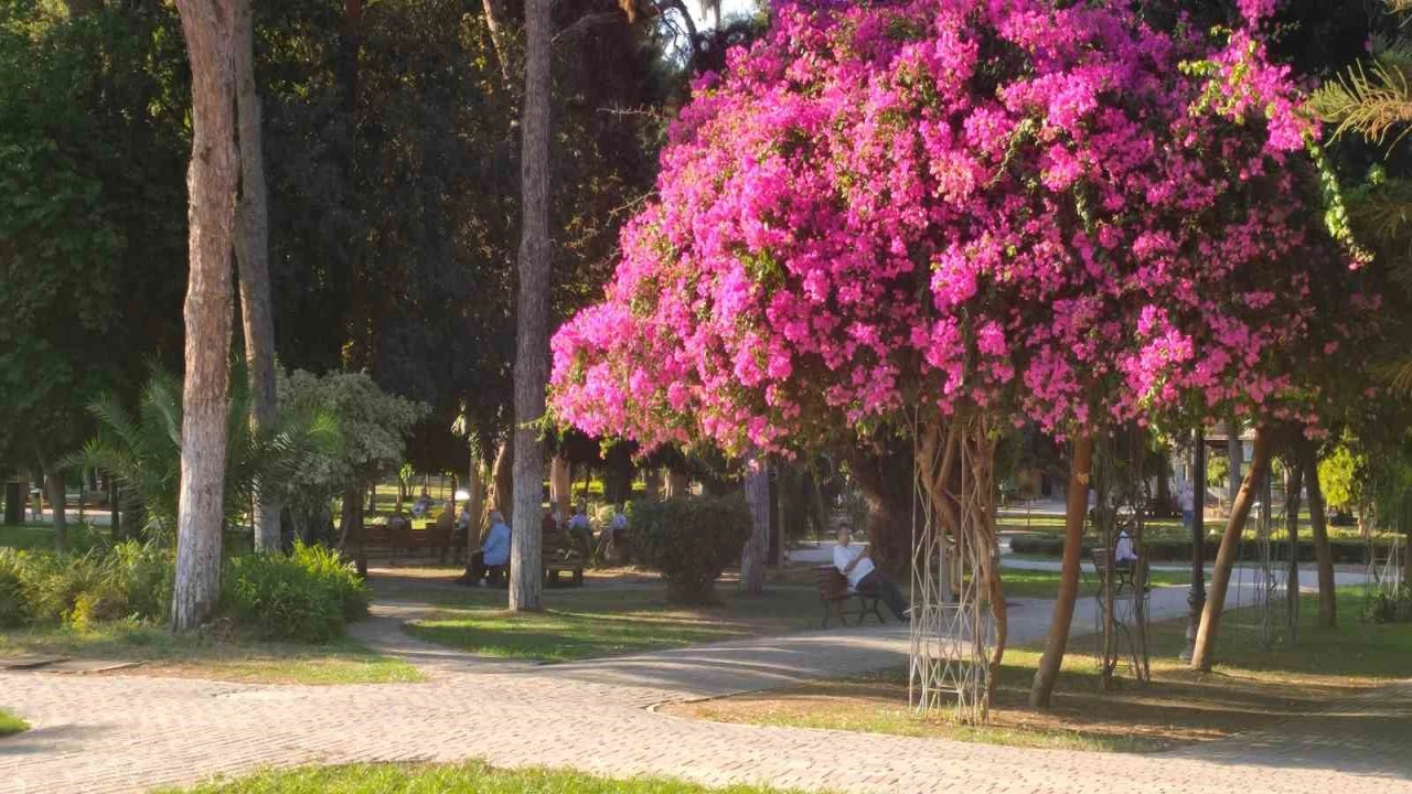 Adanada yazdan kalma günler yaşanıyor