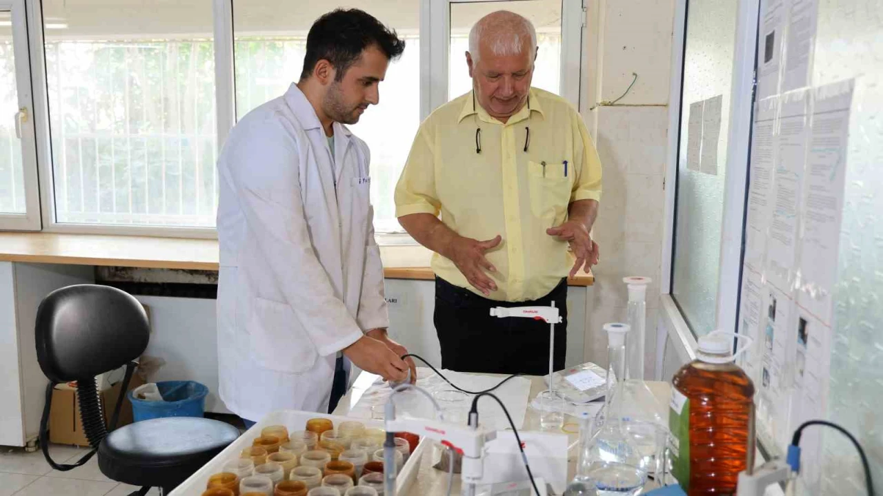 Akdenizin bozulan toprak sağlığı mercek altına alındı