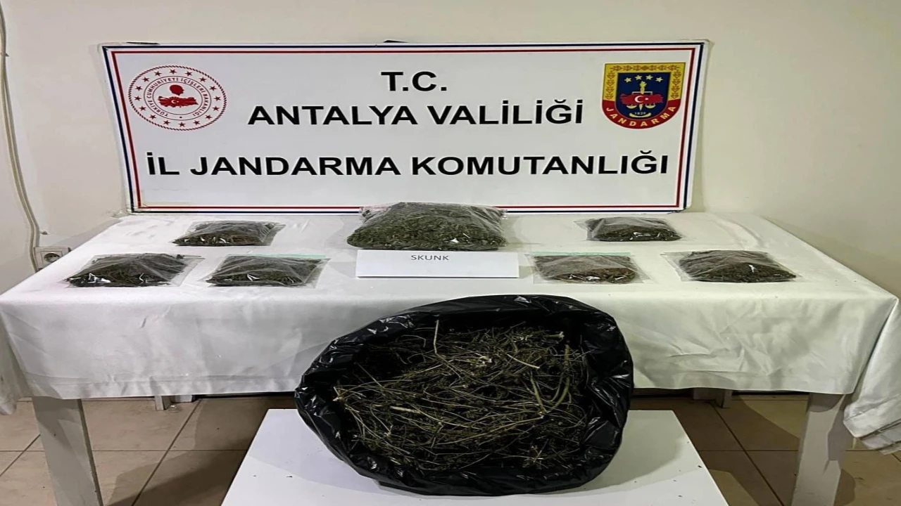 Alanyada uyuşturucu operasyonu: 800 gram uyuşturucu ele geçirildi