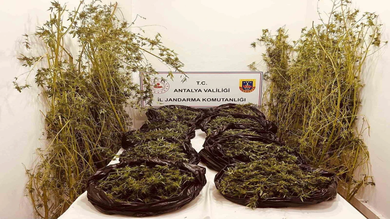 Antalyada 53 kilo uyuşturucu ele geçirildi