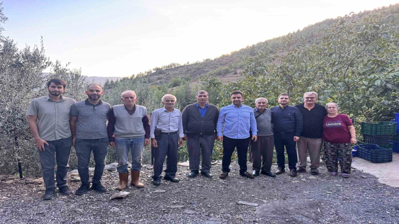 Antalyada coğrafi işaretli çekirdeksiz narın hasadı başladı