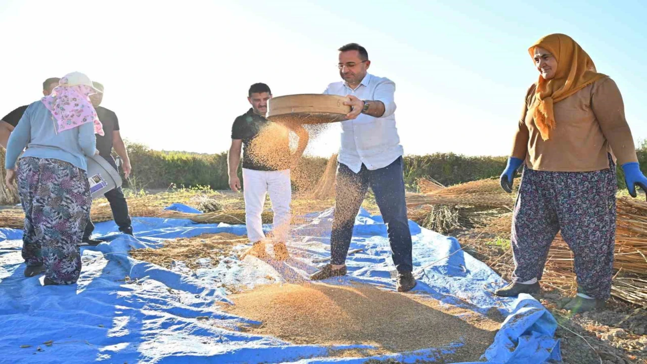 Başkan Güngör: Manavgatın coğrafi işaret tescilli altın susamı, Türkiyenin en kaliteli susamı olarak öne çıkıyor