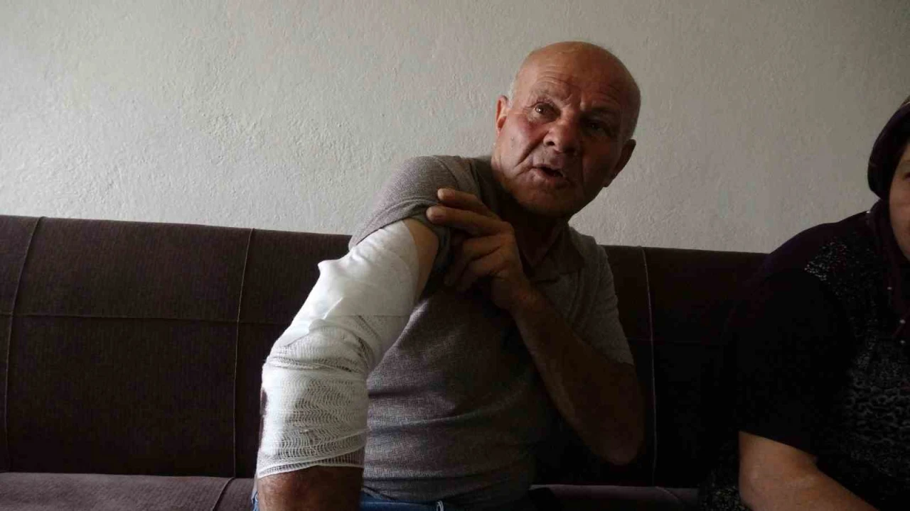 Beslemek istediği köpek saldırdı, koluna 10dan fazla dikiş atıldı