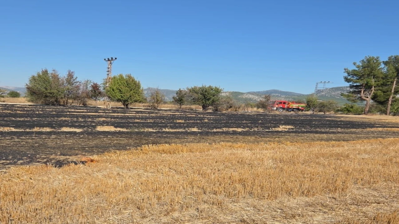 Bucakta arazide çıkan yangın itfaiye ekiplerince söndürüldü