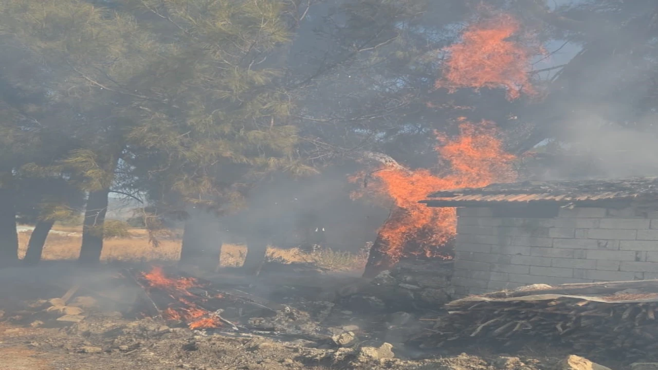 Bucakta odunlukta çıkan yangın korkuttu