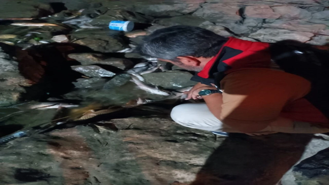 Ceyhan Nehrindeki kirlilikle ilgili numune alındı