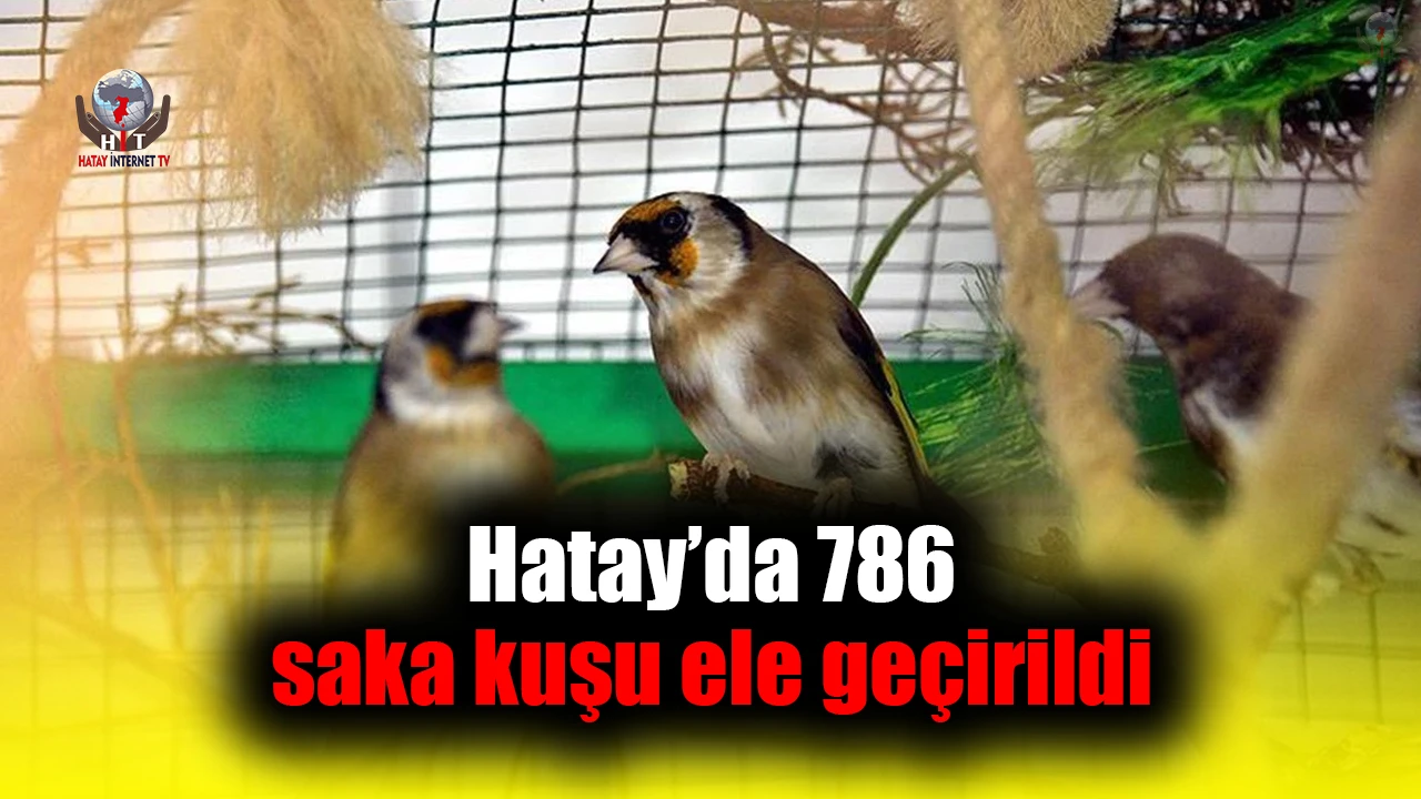 Hatay’da 786 saka kuşu ele geçirildi