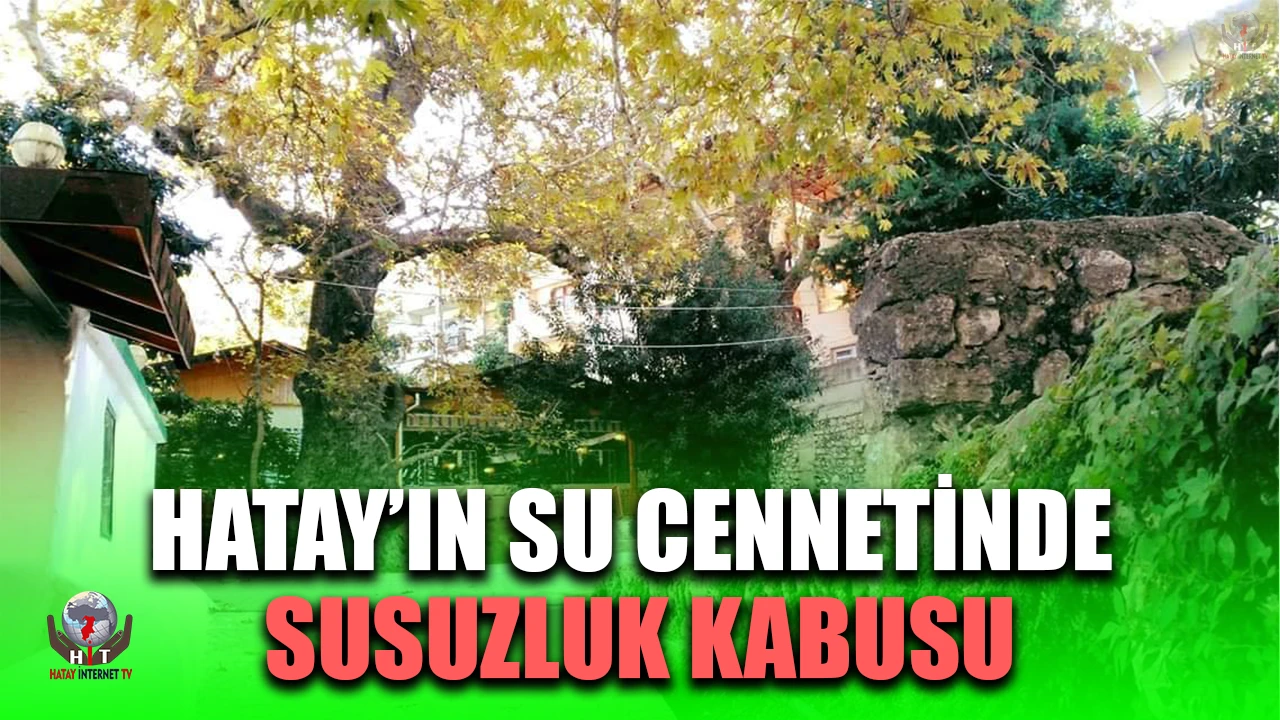 HATAY’IN SU CENNETİNDE SUSUZLUK KABUSU