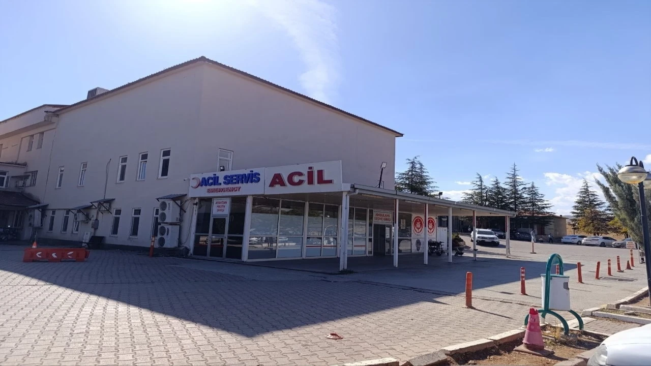 Kahramanmaraşta arının soktuğu çocuk hayatını kaybetti