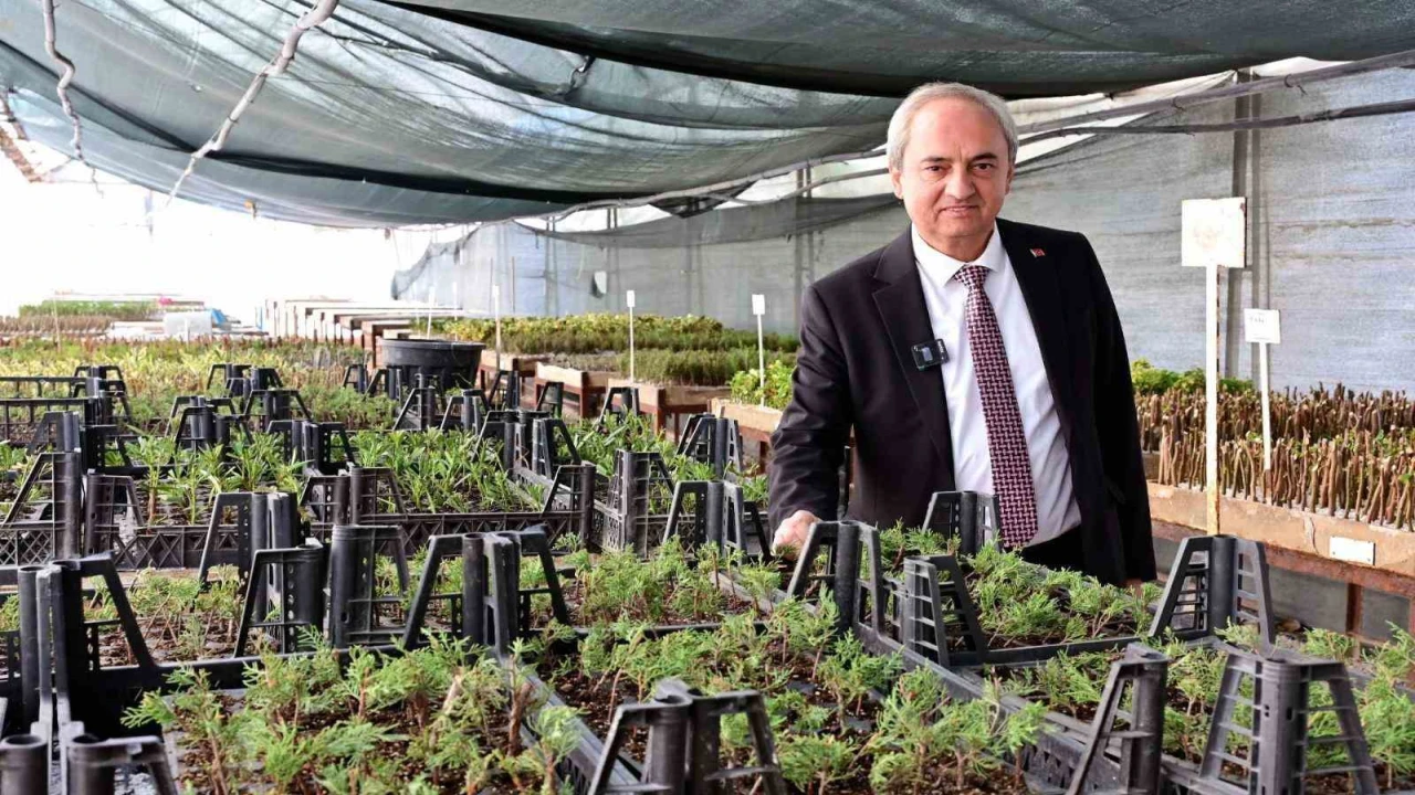 Kepezden kurakçıl peyzaj hamlesi