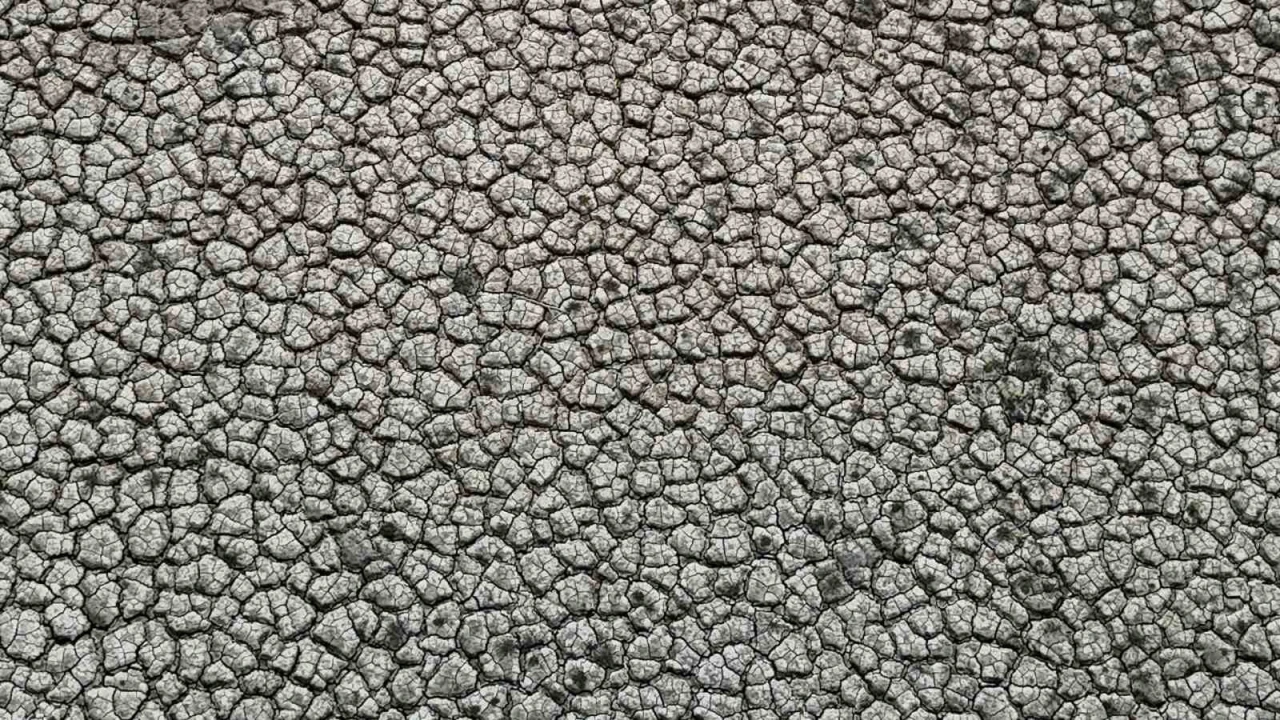 Kuraklığın izi: Seyhan Baraj Gölünde sular çekilince toprak çatladı