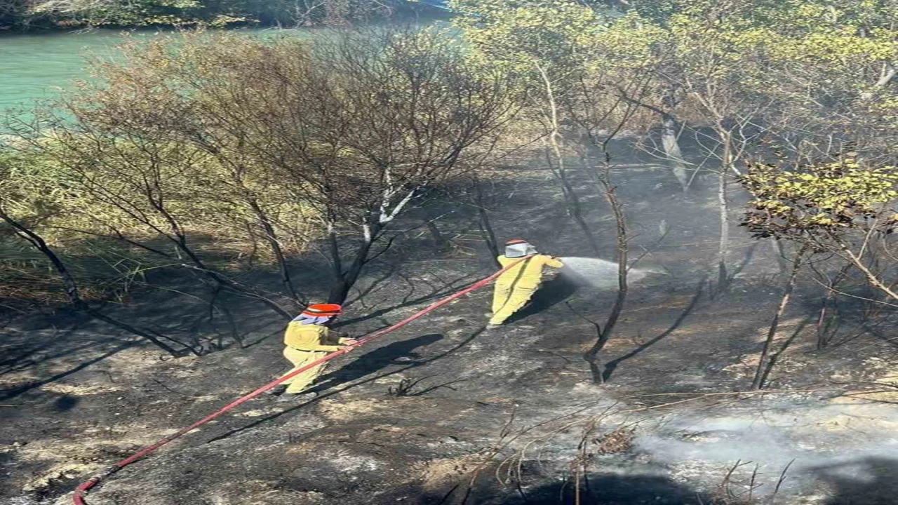 Mersinde bahçe yangını büyümeden söndürüldü