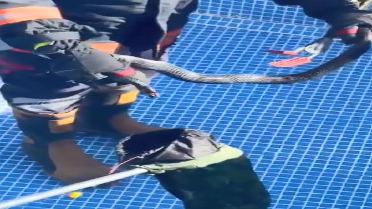 Mersinde havuza karayılan girdi