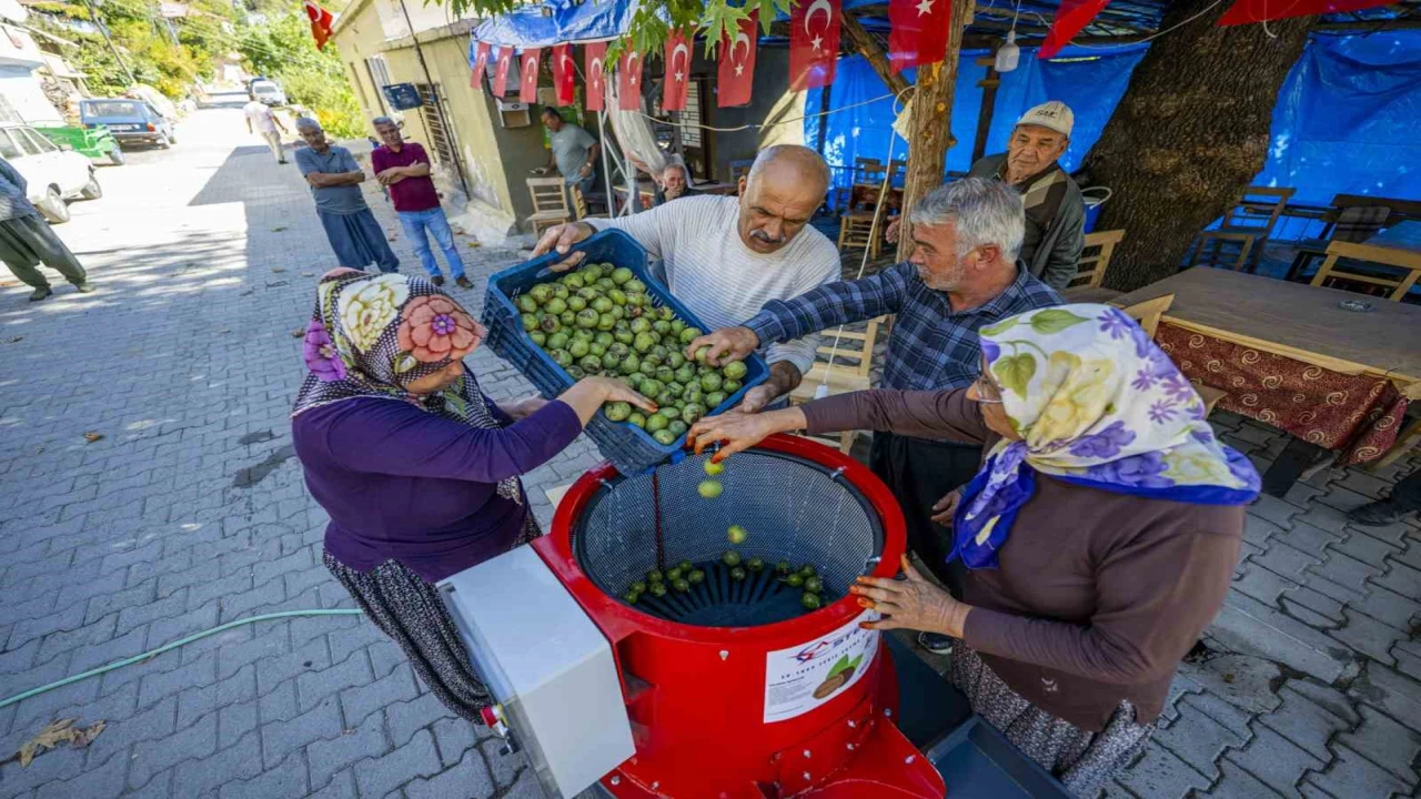 Mersinde üreticiye ceviz soyma makinesi desteği