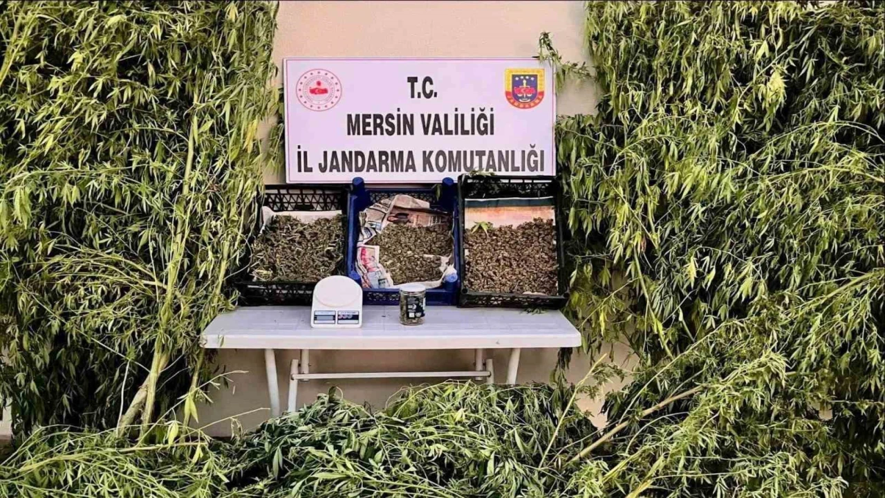 Mersinde uyuşturucu operasyonu