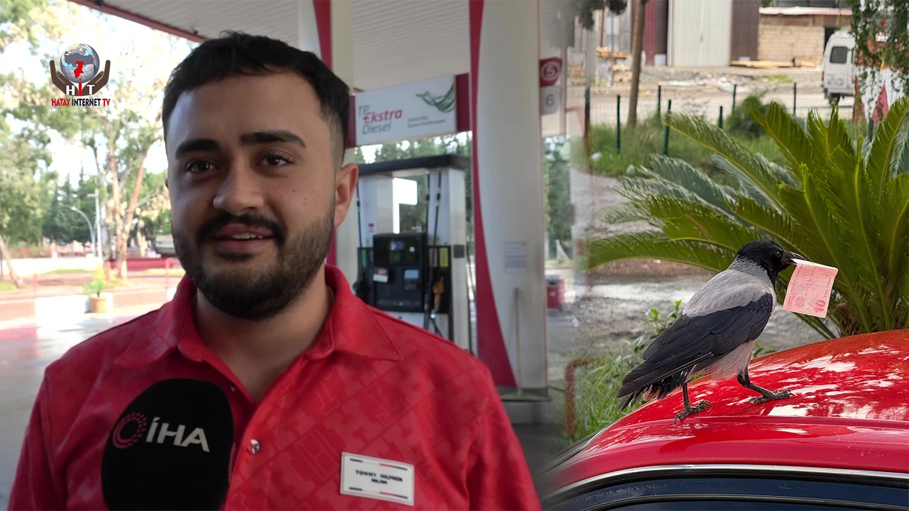 Mizah amaçlı video çekmek isterken 10 TL'sini kargaya kaptırdı