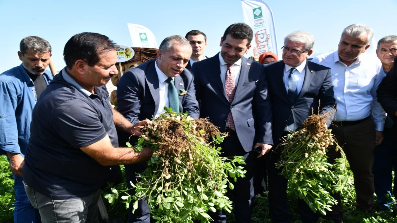 Osmaniye Fıstık Festivaline hazırlanıyor