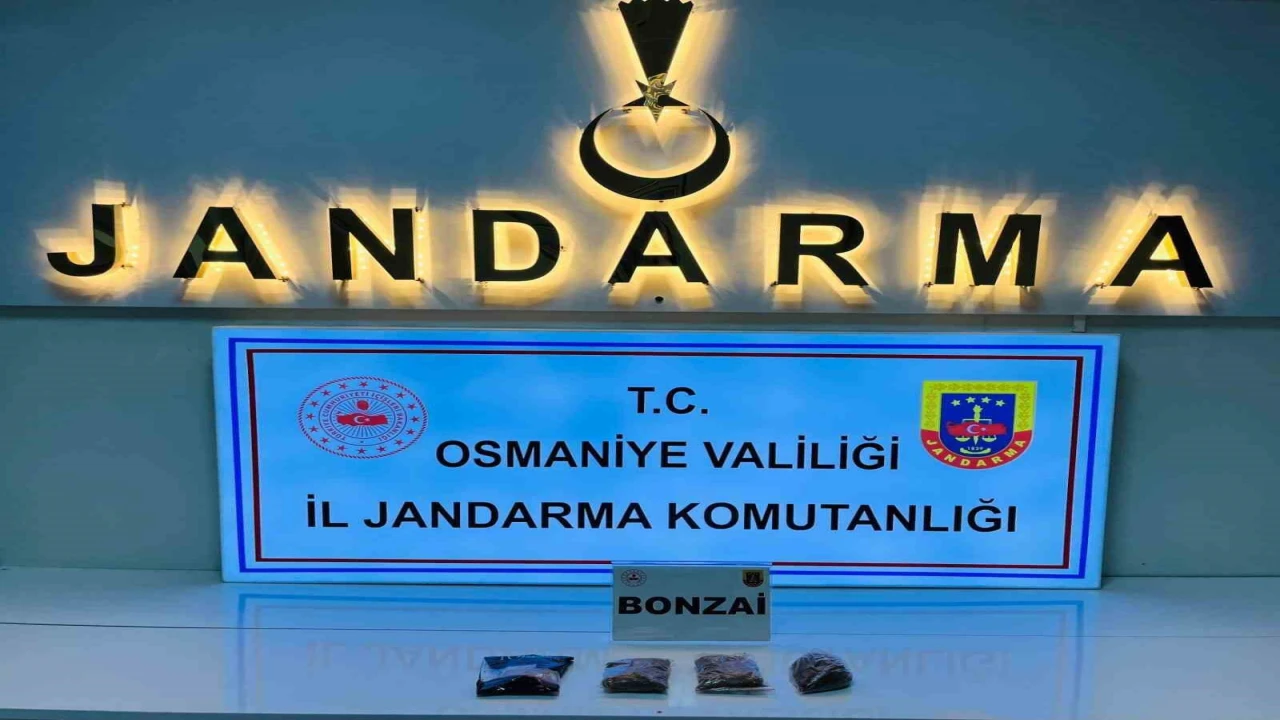 Osmaniyede bir haftada 124 şüpheli yakalandı