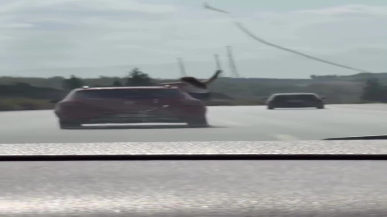 Otoyolda seyir halindeki cipte tehlikeli yolculuk