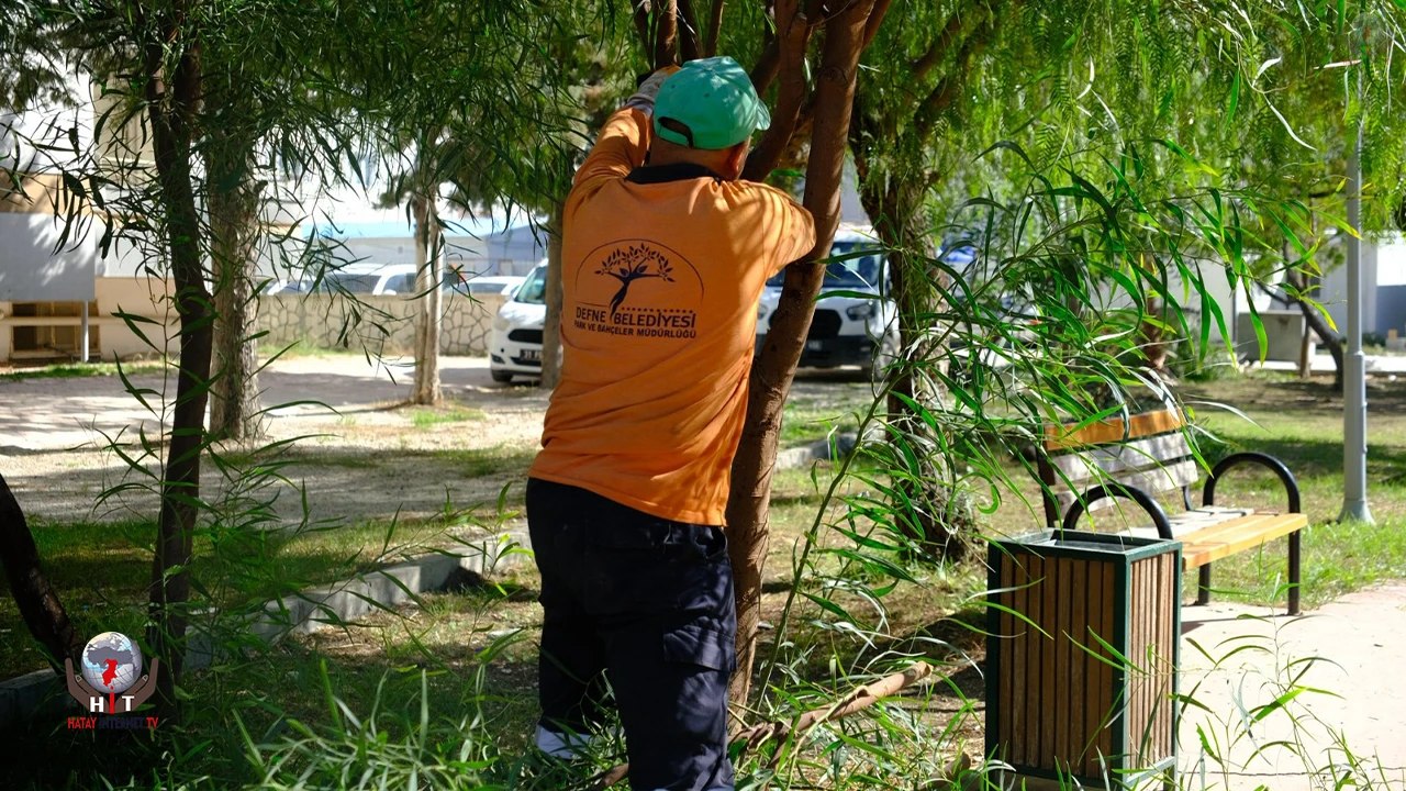 ÖZGÜN: DAHA YEŞİL DEFNE İÇİN SAHADAYIZ
