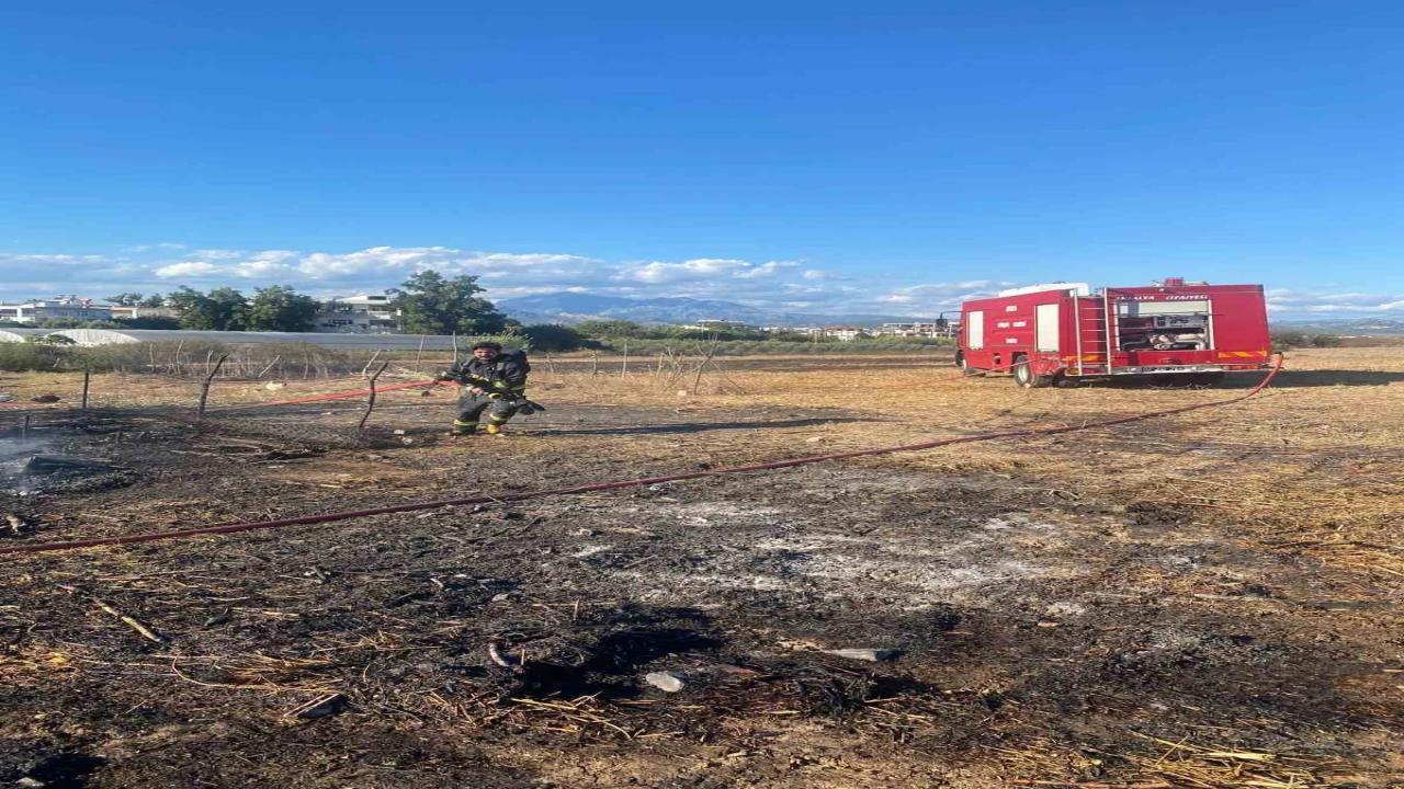 Serikte ahırda çıkan yangında 1 koyun telef oldu