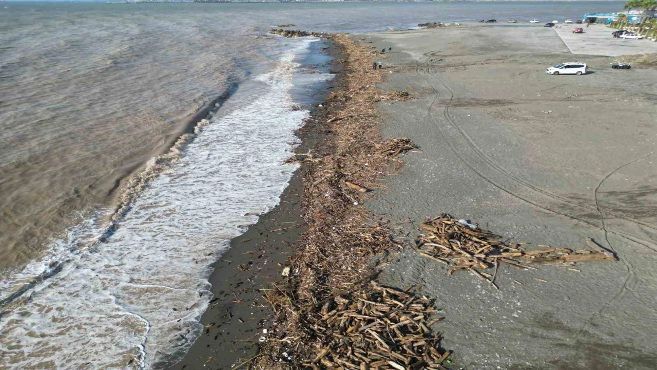 Şiddetli yağışla kahverengiye dönen Akdenizde kıyı kütüklerle kaplandı