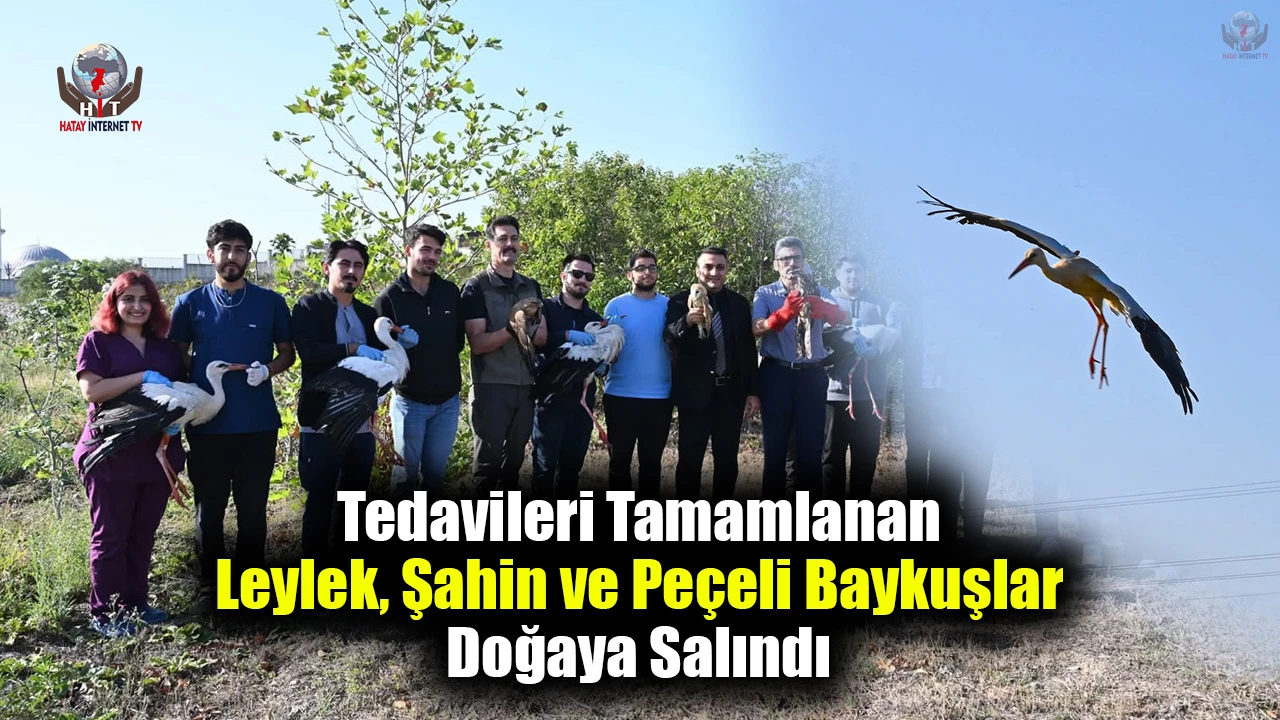 Tedavileri Tamamlanan Leylek, Şahin ve Peçeli Baykuşlar Doğaya Salındı