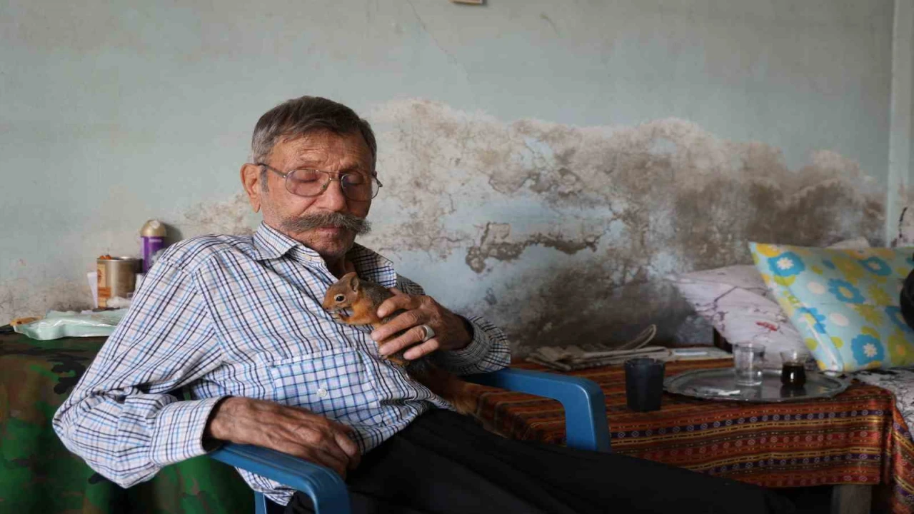 Yalnız kalmıştı, yavruyken kurtardığı sincap dostu oldu