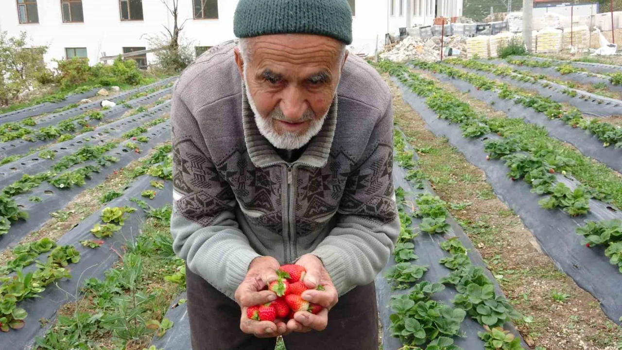 85 yaşındaki İbrahim dede Hayır Bahçesinde yetiştirdiği meyve ve sebzeleri ücretsiz ikram ediyor