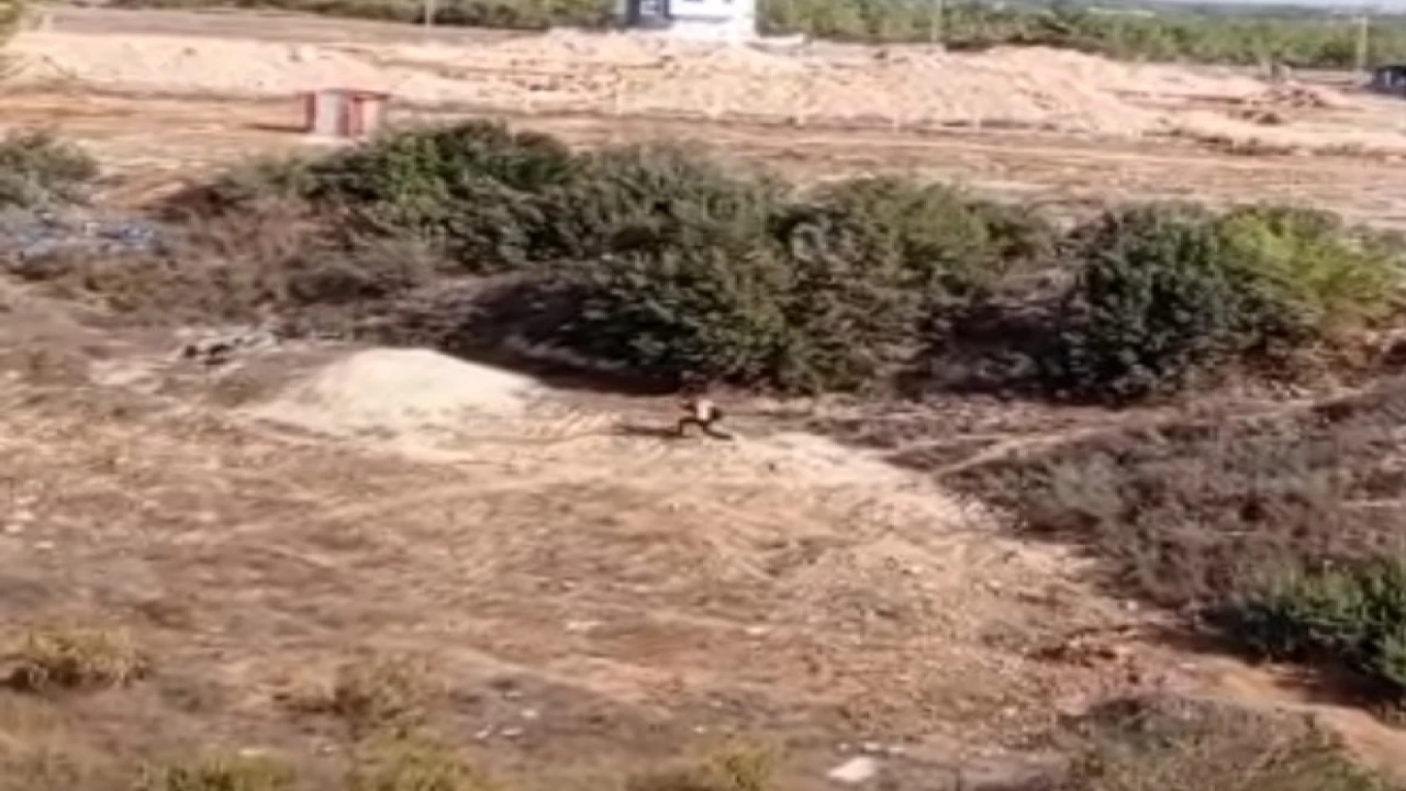 Adanada nefes kesen kovalamaca: Firari hükümlü boş arazide yakalandı