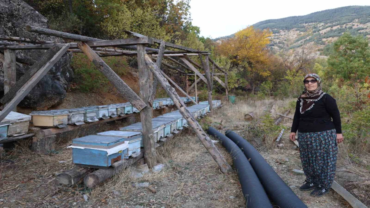 Adanada sıcaklık düşmeyince arılar kışlama için kovanlara girmedi