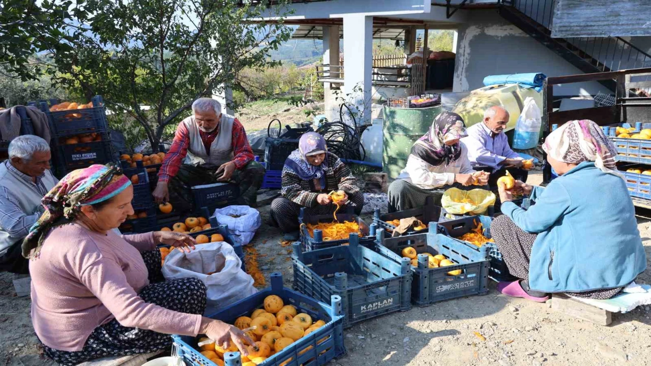 Adananın hurmalı köyü, açık fabrikaya dönüştü