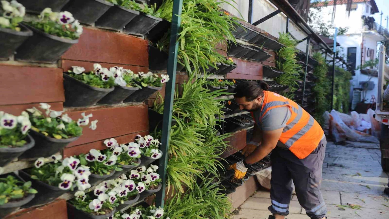 Antalyada 4 milyon çiçek toprakla buluşuyor
