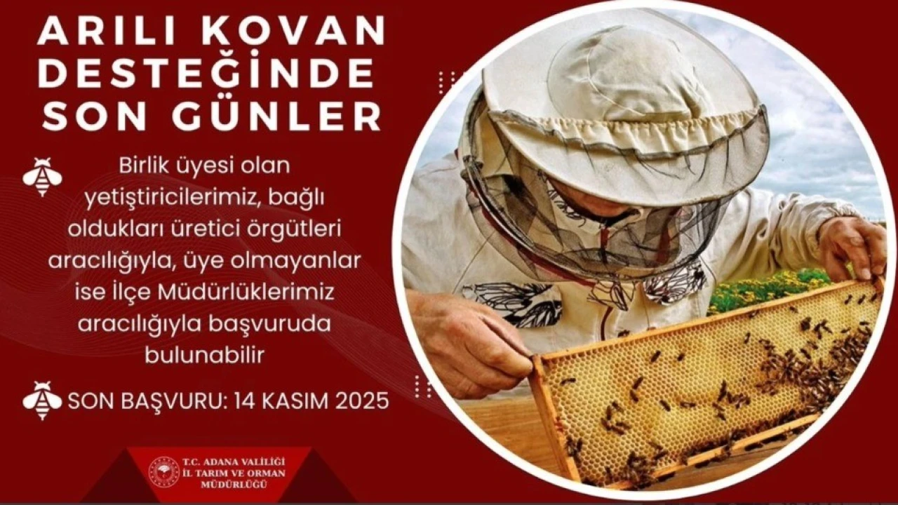 Arılı kovan desteği için son gün