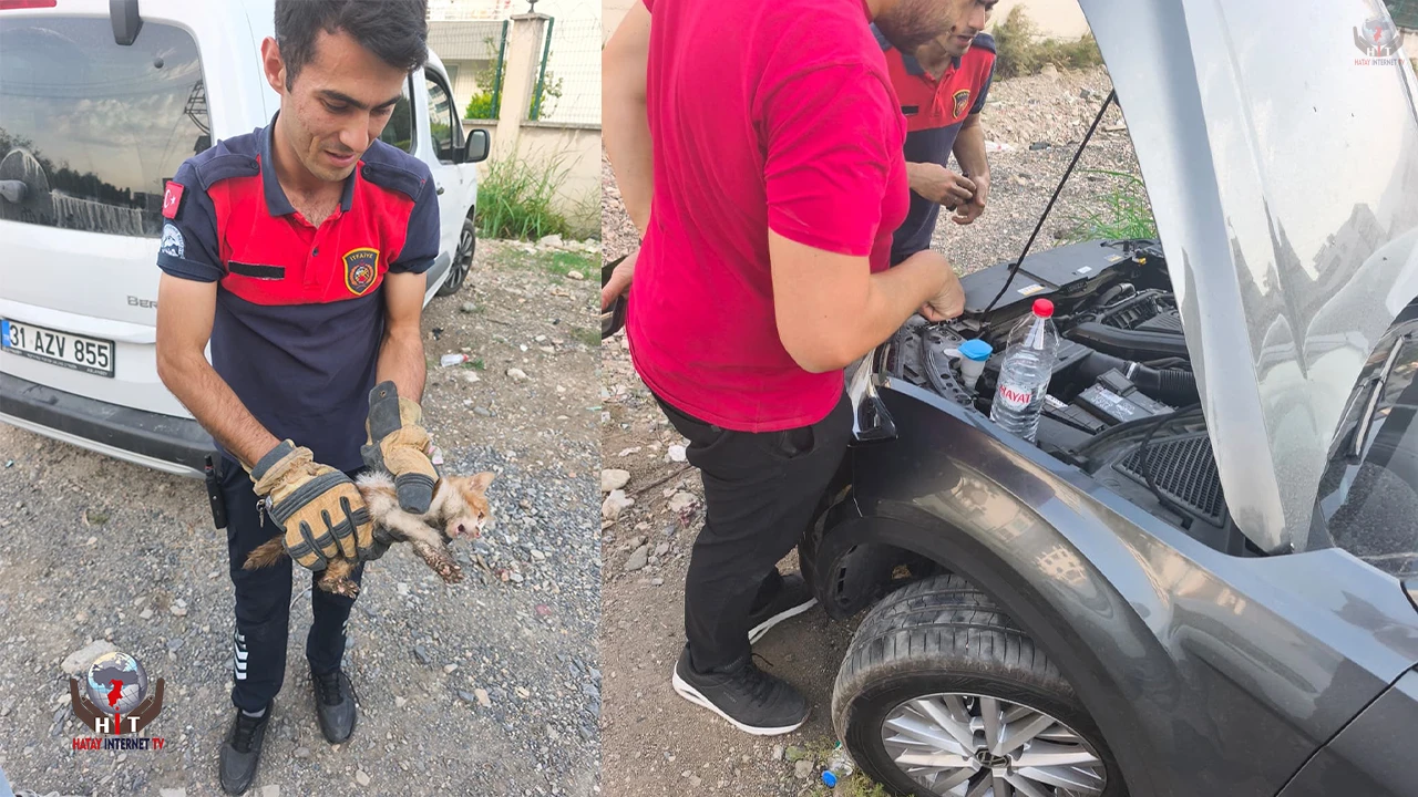 Arsuzda aracın kaputuna giren kediyi itfaiye kurtardı