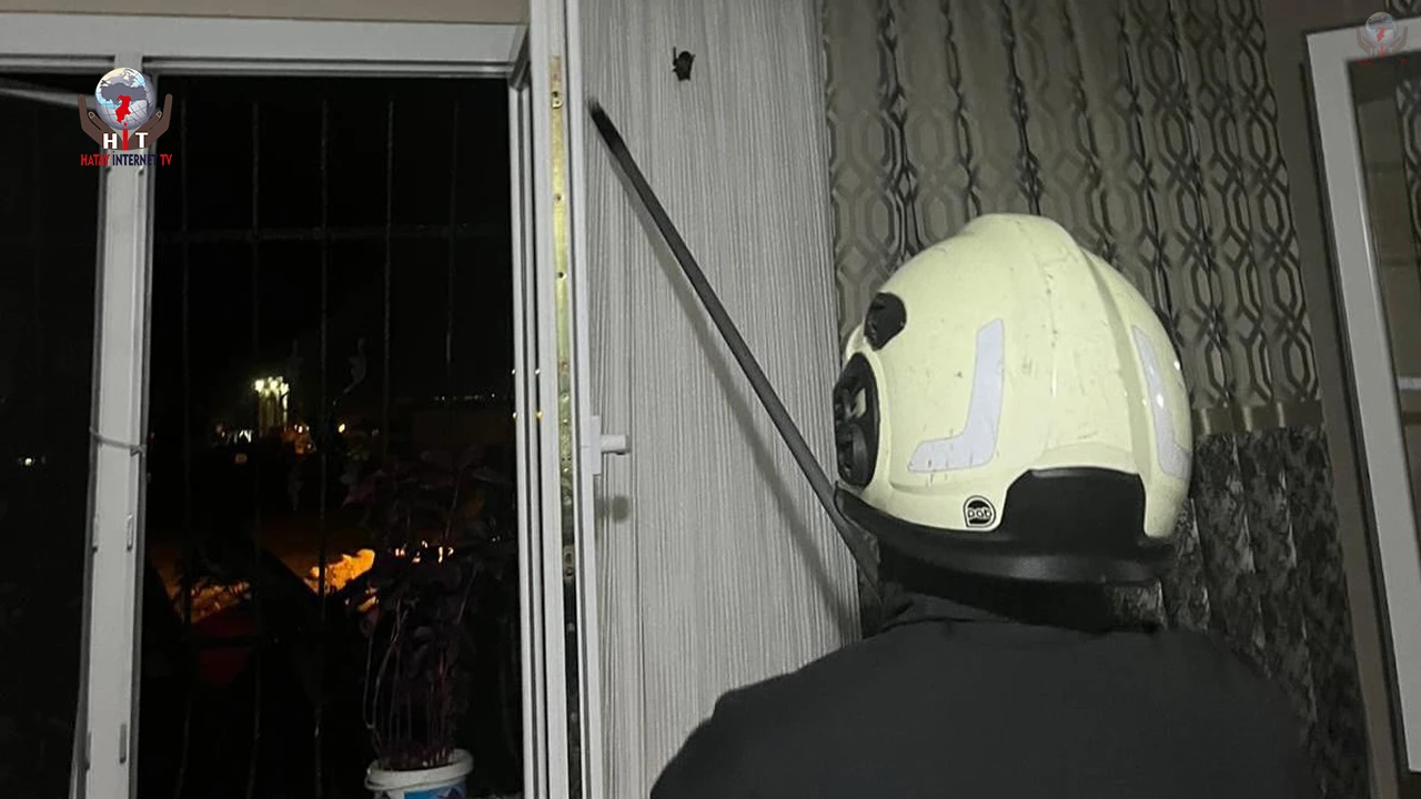 Arsuz’da eve giren yarasayı itfaiye yakaladı