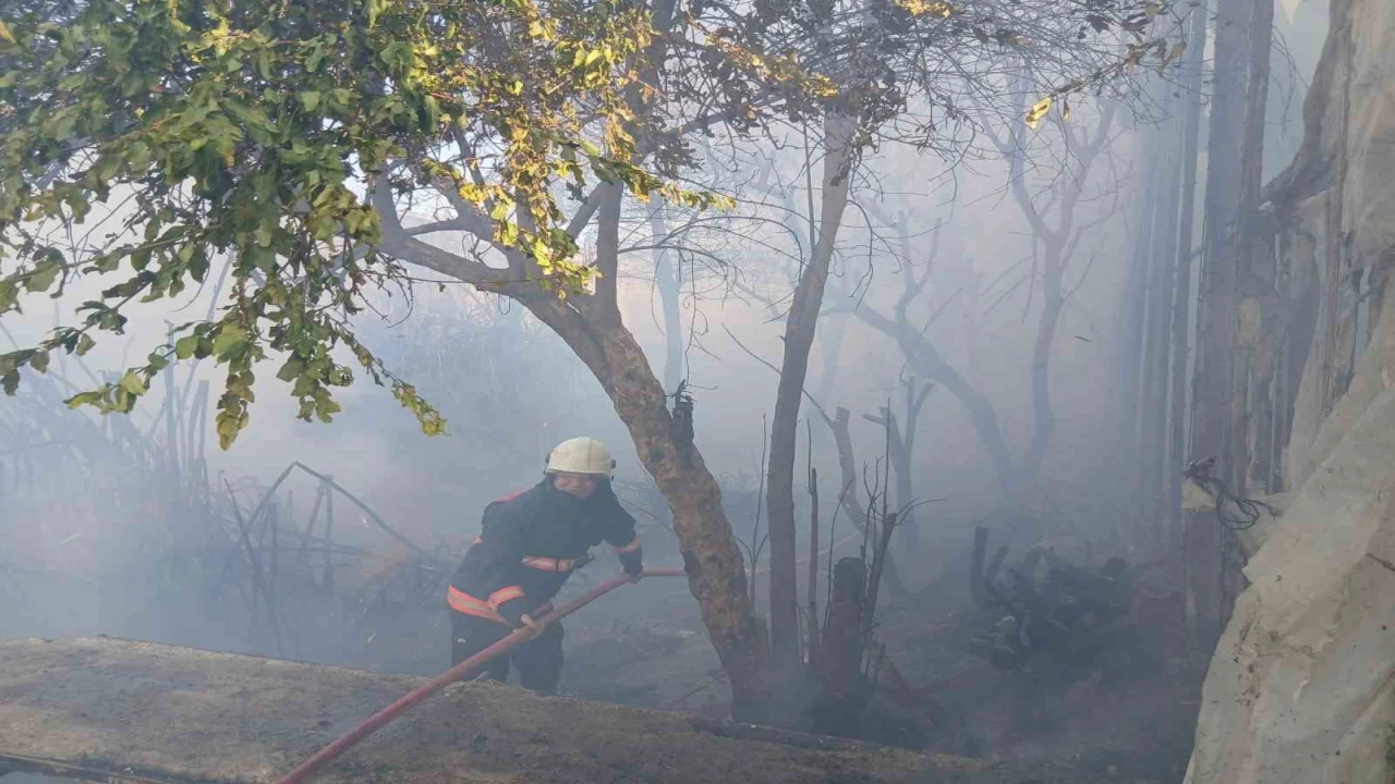 Bozyazıda çıkan yangın seralara zarar verdi