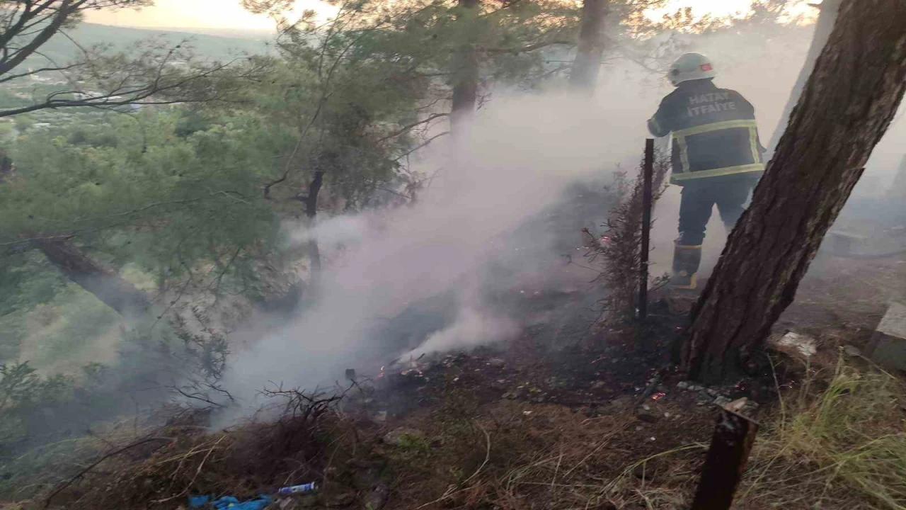 Dörtyolda ormanlık yangını