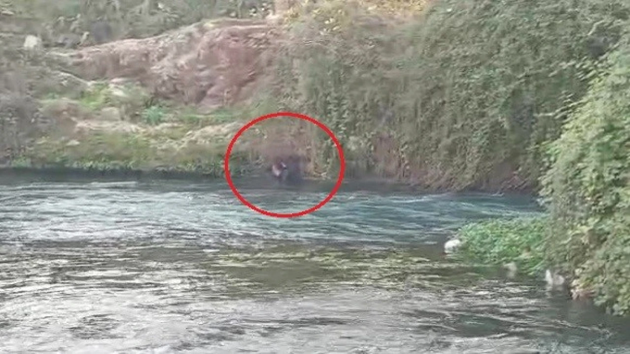 Düden Çayına düşen şahsı itfaiye ekipleri kurtardı