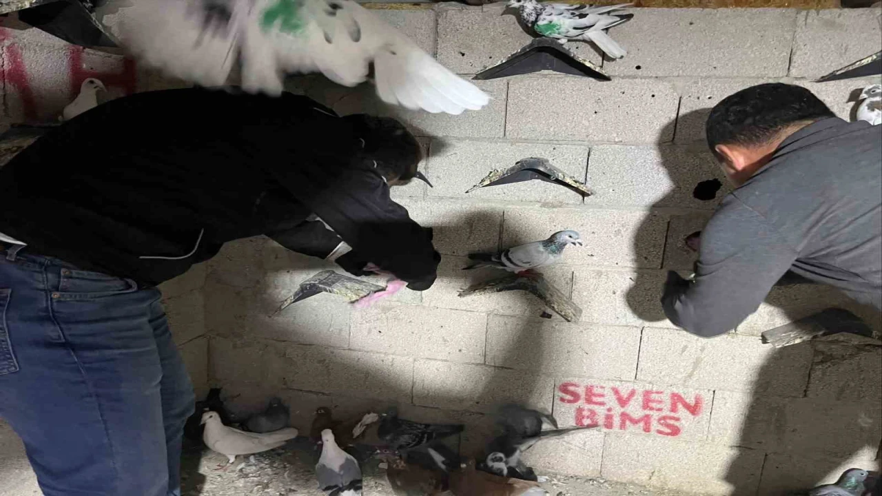 Hatayda kuş kümesinden 2 kilo 500 gram uyuşturucu madde ve para çıktı