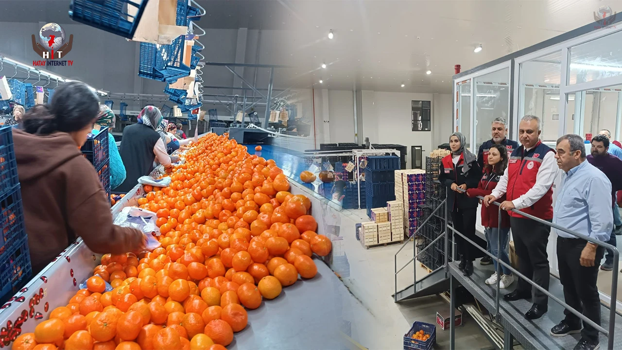HATAY'DA TURUNÇGİL PAKETLEME İŞLETMELERİ DENETLENDİ