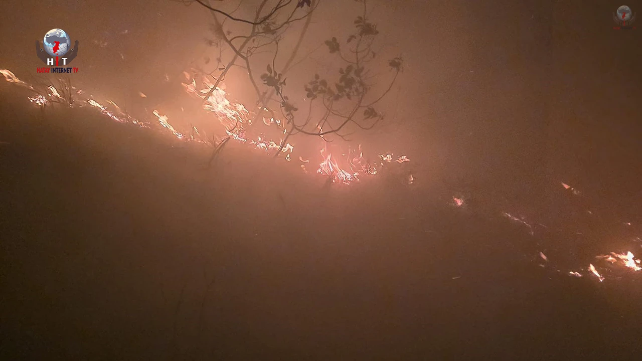 Hatayda yıldırım düşmesiyle çıkan orman yangına müdahale devam ediyor