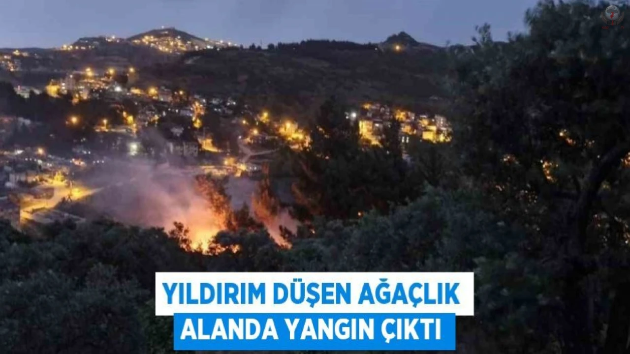 Hatayda yıldırımın düştüğü ağaçlık alanda yangın çıktı