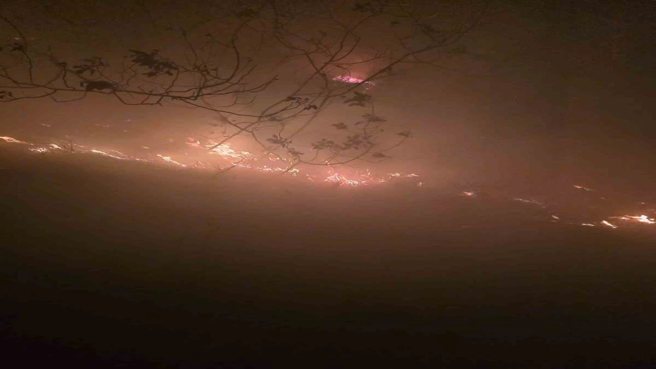 Hatayda yıldırımın düştüğü ormanlık alanda yangın çıktı