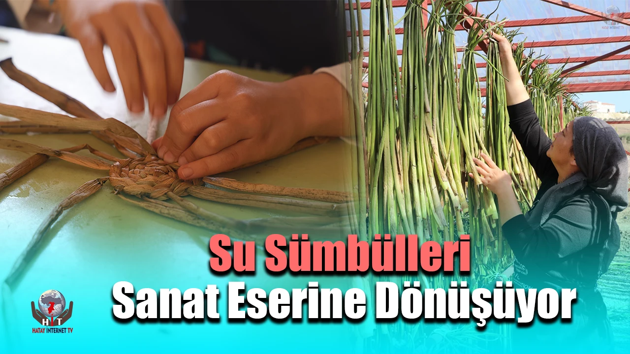 İstilacı su sümbülleri depremzede kadınların ellerinde sanat eserine dönüşüyor