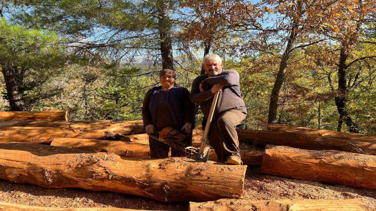 Karı-koca 35 yıldır ormanlarda damgalanan ağaçları kesiyorlar