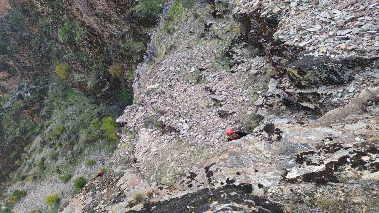 Kayalıklarda mahsur kalan keçiler kurtarıldı