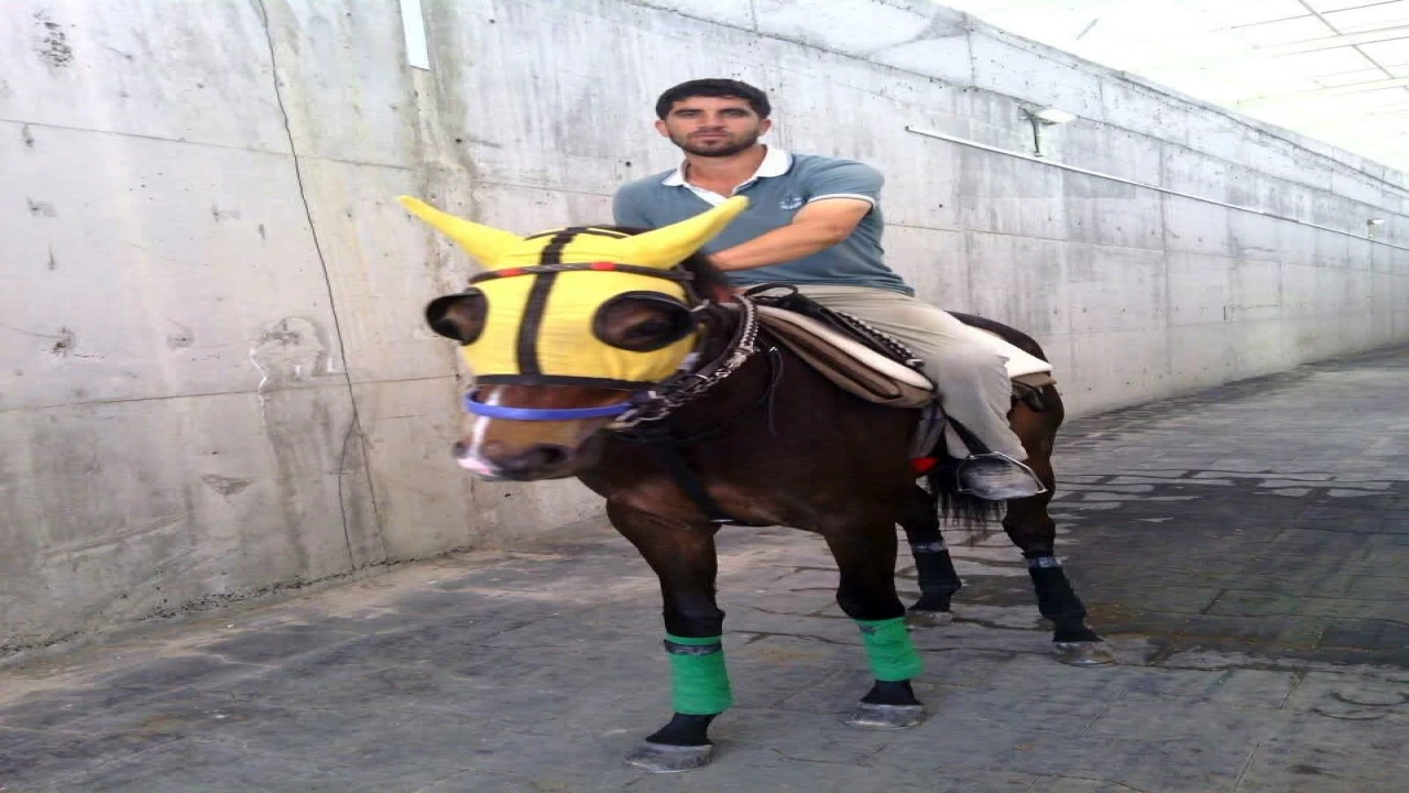 Kırmızı ışıkta geçen otomobilin çarptığı seyis, tedavi gördüğü hastanede öldü